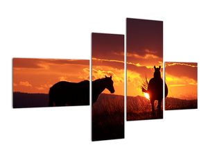 Obraz - kone pri západe slnka