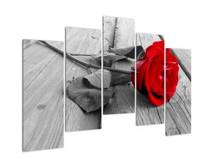 Obraz ruže s červeným kvetom