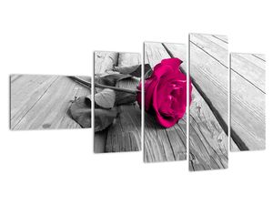 Obrazy kvetov - ruža