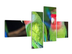 Papagáje - obraz