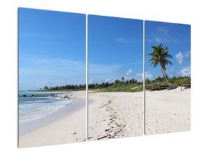 Exotická pláž - obraz