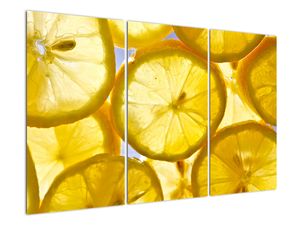 Plátky citrónov - obraz