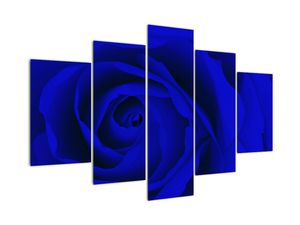 Detail modré ruže - obraz