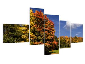 Jesenné stromy - obraz do bytu