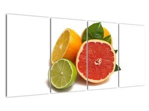 Citrusové plody - obraz