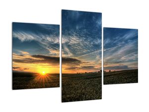 Západ slnka na poli - moderný obraz