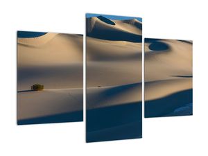 Púšť - obraz