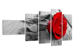 Obraz červené ruže