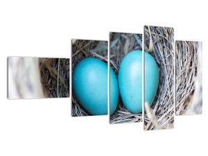 Obraz modrých vajíčok v hniezde