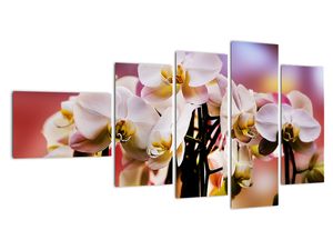Obraz kvety