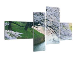 Obraz kvitnúcich stromov