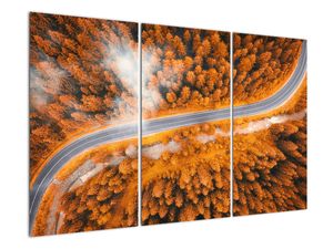 Cesta lesom - moderné obrazy na stenu