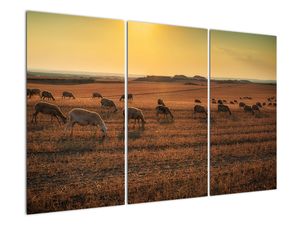 Obraz - panoráma krajiny na stenu