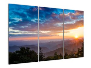 Obraz panoráma hôr