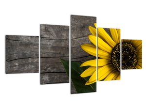Obraz slnečnice na stole