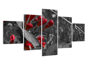 Červené kvety - moderné obrazy