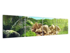 Obraz jazera na Seychelách