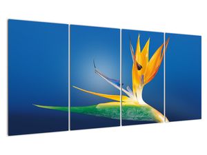 Obraz - detail kvetu