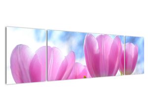 Obraz ružových tulipánov
