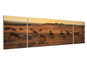 Obraz - panoráma krajiny na stenu