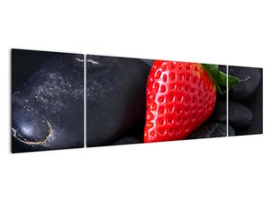 Obraz na stenu