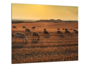 Obraz - panoráma krajiny na stenu