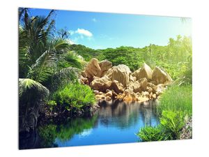 Obraz jazera na Seychelách