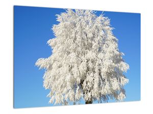 Zasnežený strom - obraz