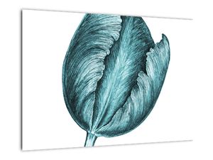 Obraz zeleného tulipánu