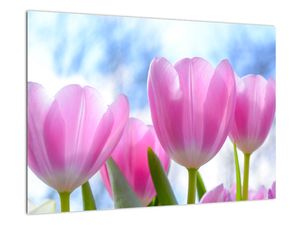 Obraz ružových tulipánov