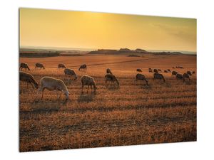 Obraz - panoráma krajiny na stenu