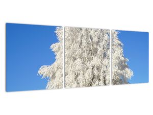 Zasnežený strom - obraz