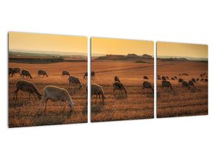 Obraz - panoráma krajiny na stenu