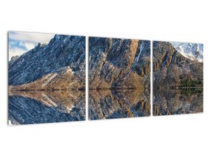 Obraz panoráma hôr